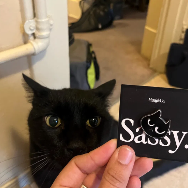 Sassy Cat Enamel Pin