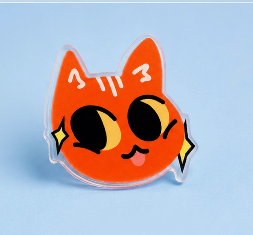 Derpy Cat Acrylic Pin