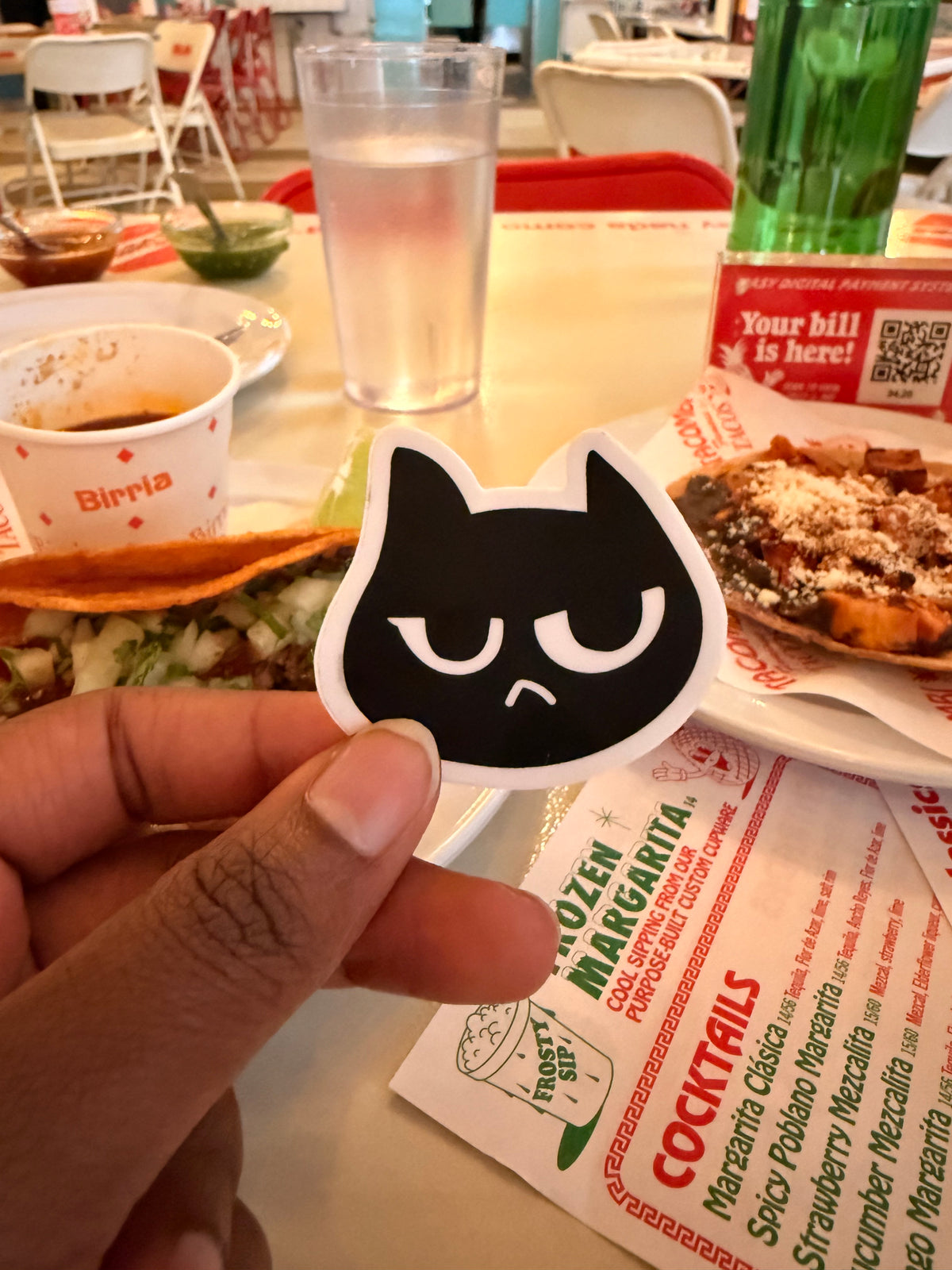 Sassy Cat Vinyl Sticker
