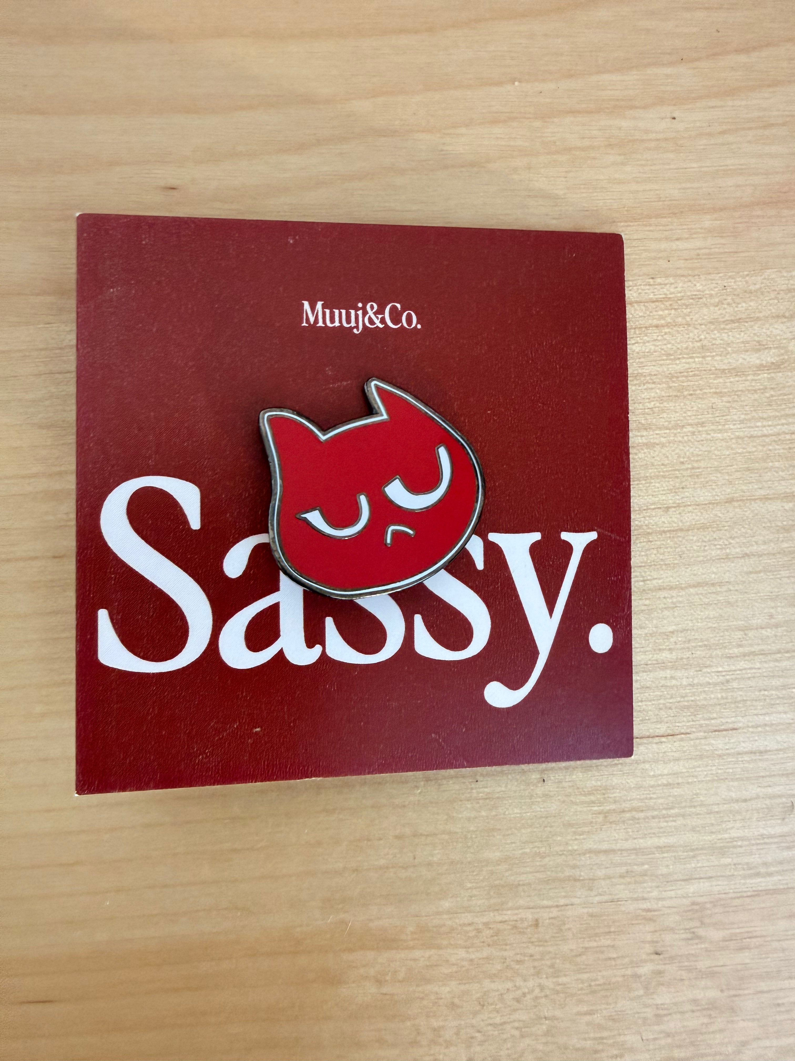 Sassy Cat Pin