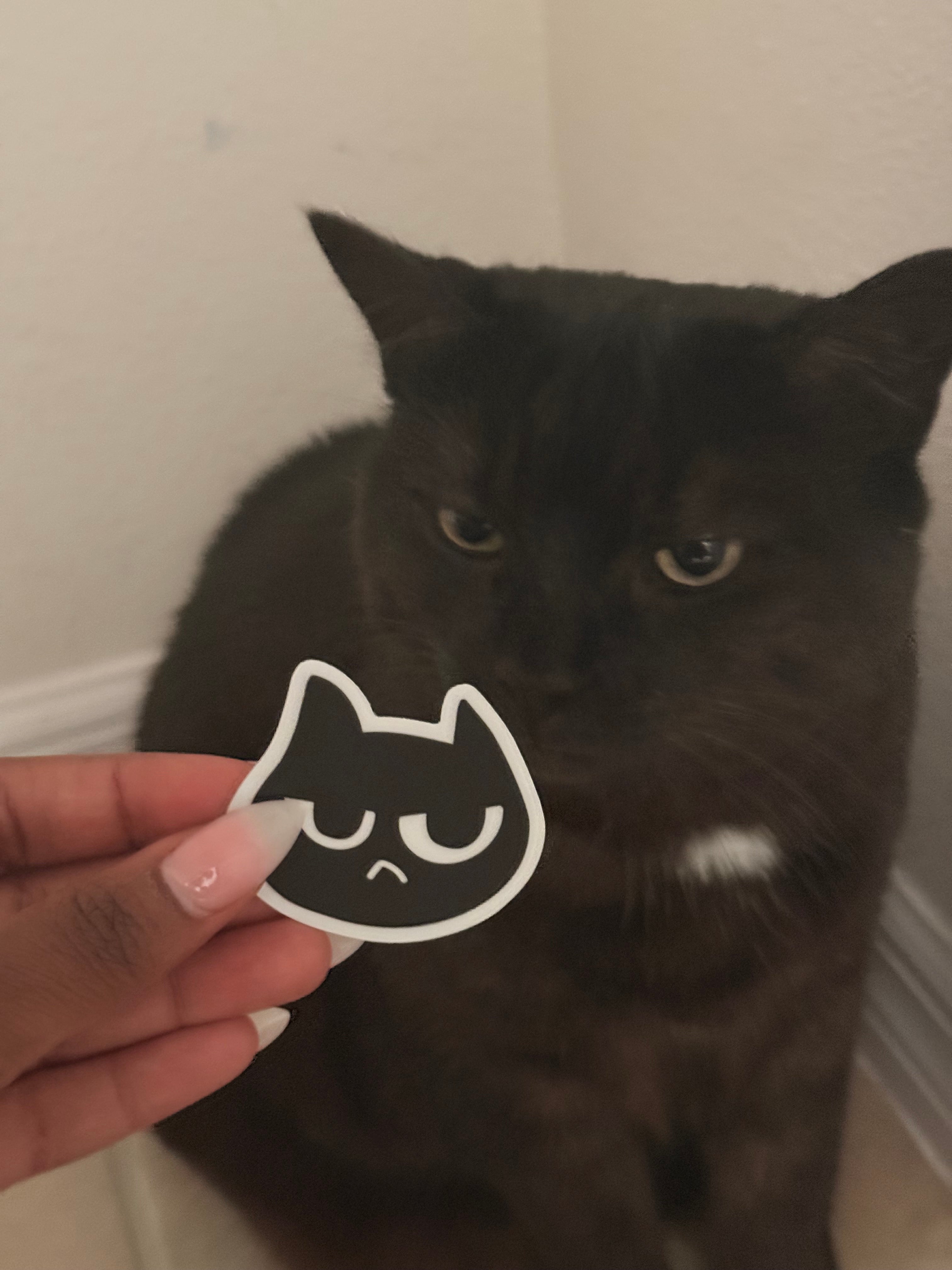 Grumpy Cat Sticker