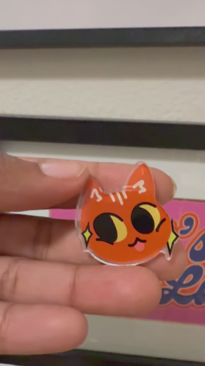 Derpy Cat Acrylic Pin