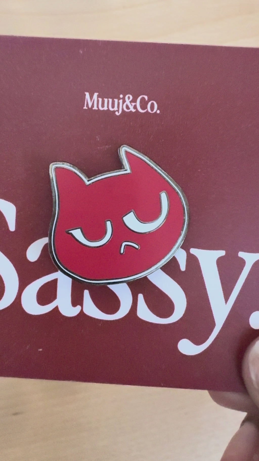 Sassy Cat Pin